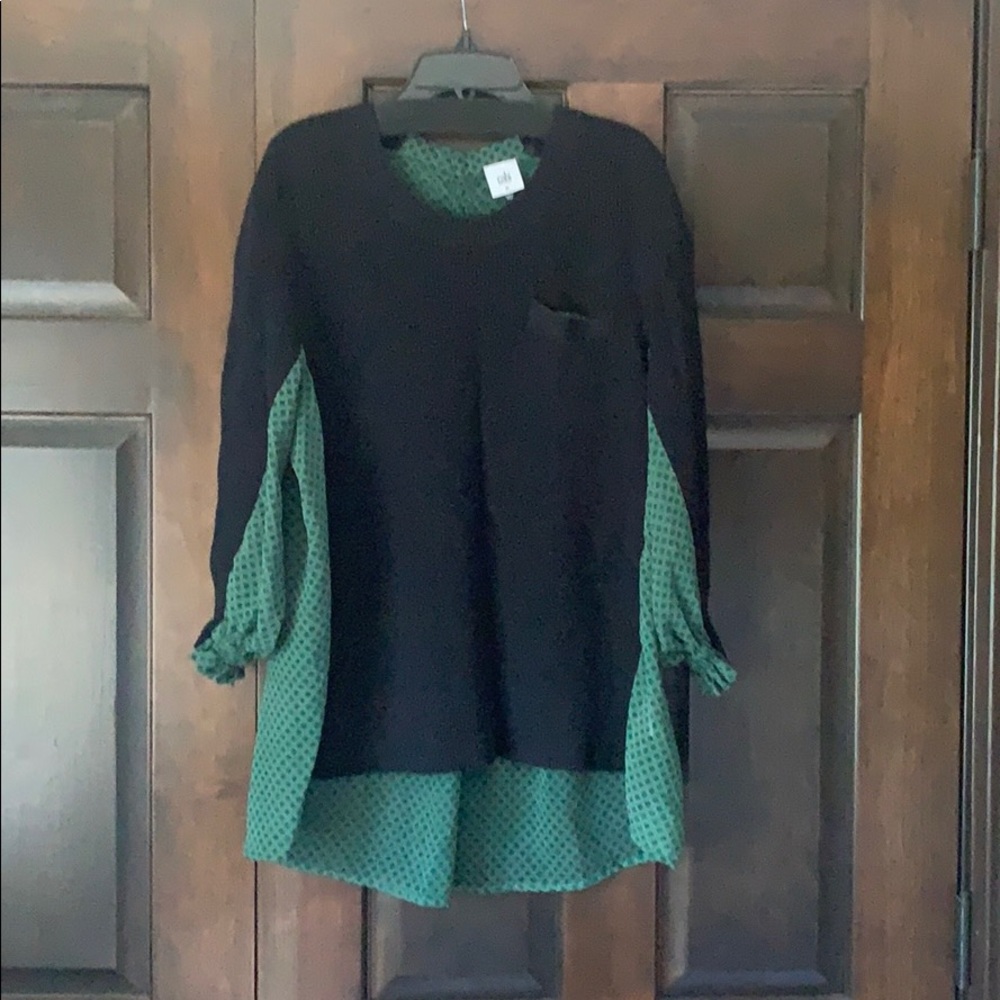 Cabi Sweater